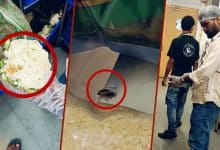 Live Cockroach and Spoiled Cauliflower Found at California Burrito, Attapur