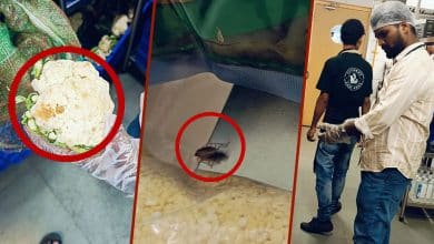 Live Cockroach and Spoiled Cauliflower Found at California Burrito, Attapur