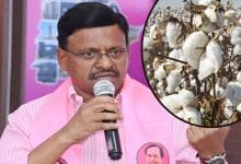 MLC Tatha Madhusudhan Questions CCI's Absence as Cotton Farmers Face Procurement Issues