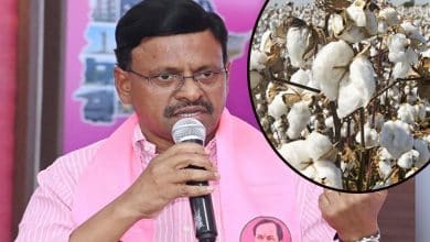 MLC Tatha Madhusudhan Questions CCI's Absence as Cotton Farmers Face Procurement Issues