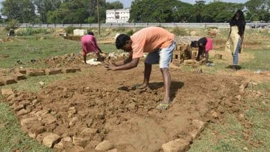 Govt e-marketplace launches 170 seed categories to speed up supply to farmers