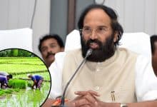 Telangana: Uttam Kumar Announces Rs 500 Bonus for Grade-A Paddy Farmers