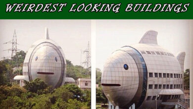 Hyderabad's Iconic 'Fish Building' Named Among the Weirdest Looking Buildings in the World