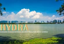 HYDRAA and TGPCB Take Action: Restoring Hyderabad’s Precious Lakes