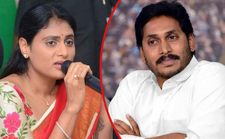 YS Sharmila Demands Brother YS Jagan Reddy’s Resignation Over Assembly Boycott