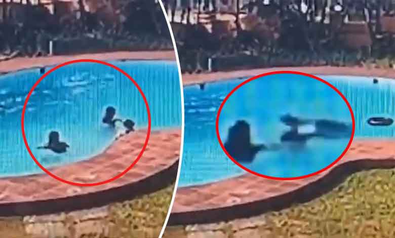 Karnataka Tragedy: Three Young Women Drown in Swimming Pool at Vazco Resort