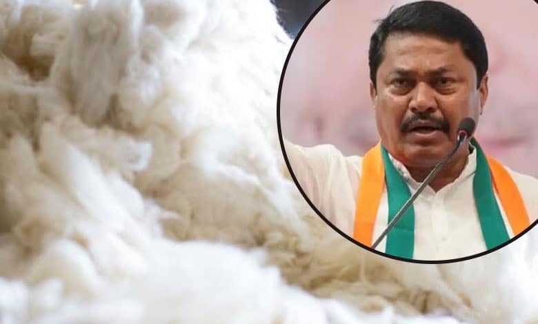 Immediately ban import of cotton and buy guaranteed cotton: Patole