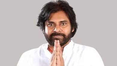 Pawan Kalyan buys 12 more acres land in Pithapuram constituency