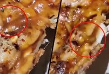 Shocking Bite: Customer Discovers Insects Crawling in Pizza Ordered from Hotel