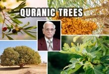 Some Quranic Trees with Hidden Names- A Scientific Review: Dr. MIH Farooqi