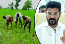 REVANTH FARMERS 1 Telangana Sees 61% Rise in Fine Paddy Cultivation Following Rs 500 Bonus Announcement