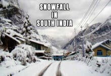 Discover the Only Place in South India Where Snow Falls!