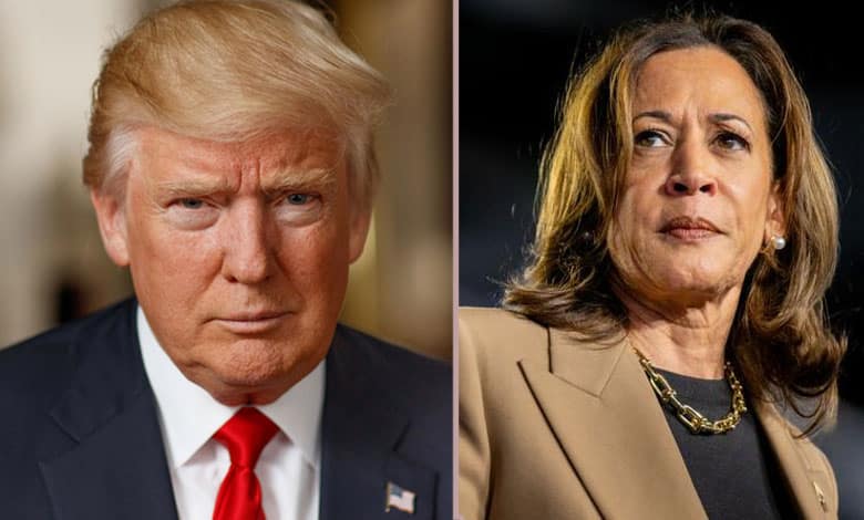 Will it be Kamala Harris or Donald Trump? Here's what each needs to win the US election.