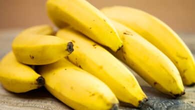 India Targets $1 Billion Banana Exports Following Successful Sea Route Trial