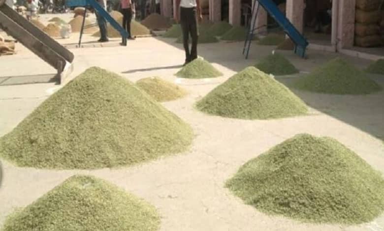 FDI in India's food processing sector reaches $368 million in April-Sep
