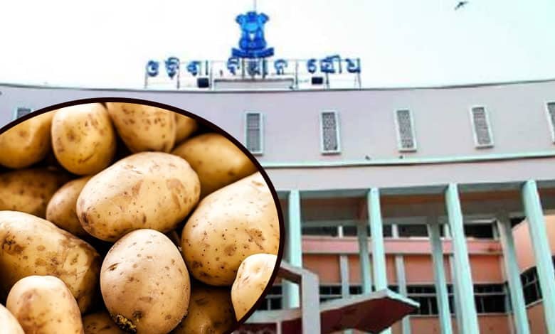 Odisha Assembly witnesses' noisy scenes over rise in potato prices