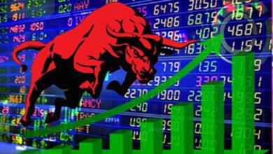 Indian share market ends flat on last trading day of 2024, enters New Year with caution