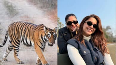 Sharvari’s Christmas is all about safari, stars and tigers