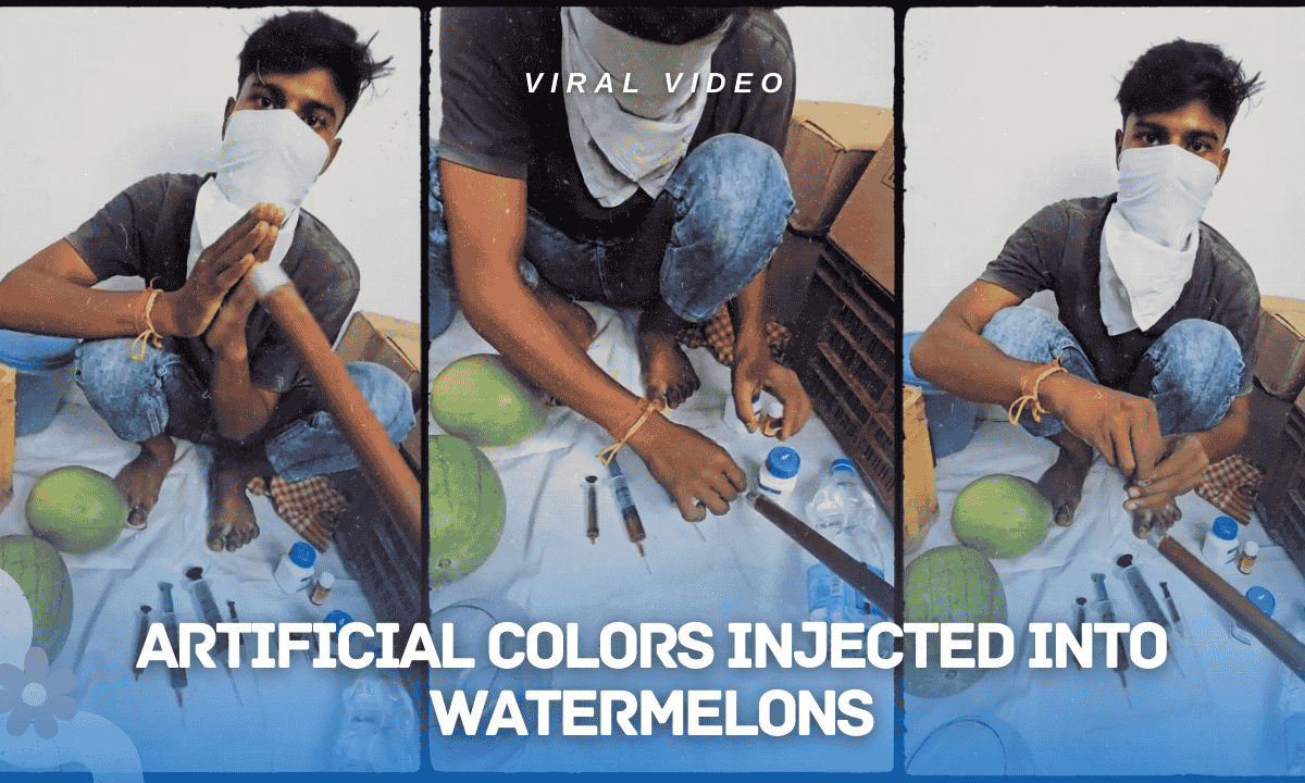 Artificial Colors Injected into Watermelons in Hyderabad Godown