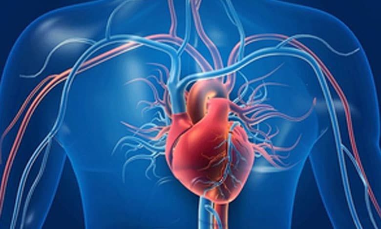 Shocking Discovery: Your Heart Can Taste Sweetness—Here’s What That Means!