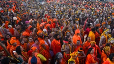 Govt Offices Closed in Prayagraj for Basant Panchami Amrit Snan as Crowds Swell