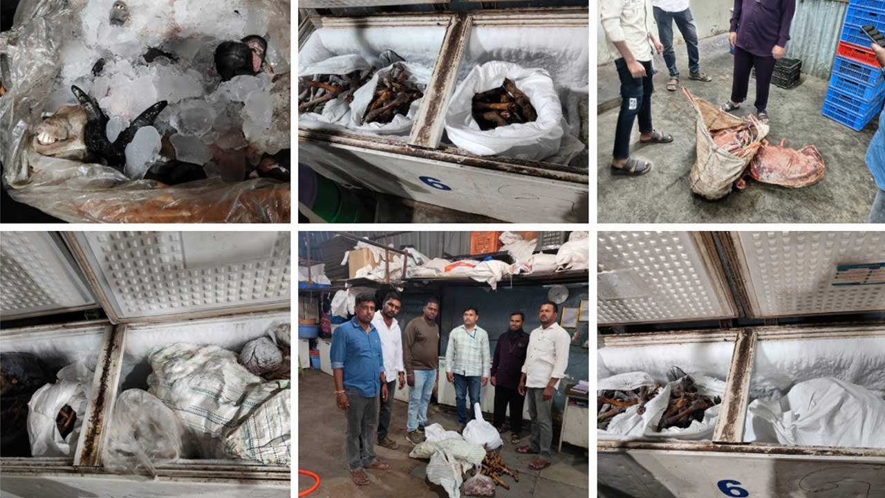 Spoiled Meat Supply: Hyderabad Trader Arrested for Selling Weeks-Old Meat to Hotels and Events!
