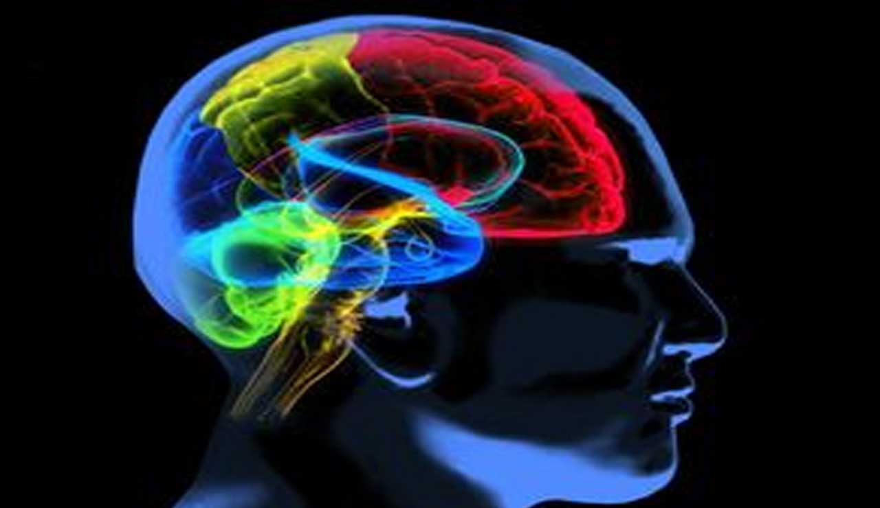 Alzheimer’s Disease: Researchers Discover Role of Key Protein