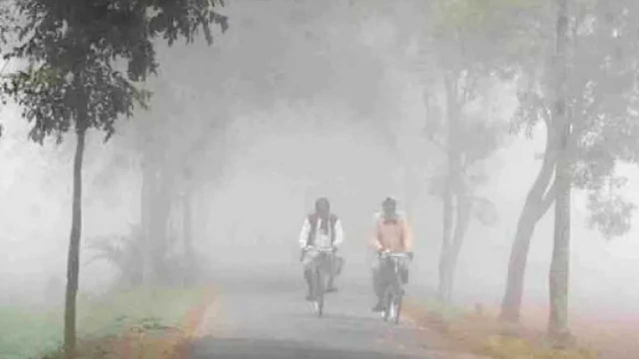 Telangana Weather Update: Adilabad Experiences Cold Mornings with Thick Fog and Low Temperatures