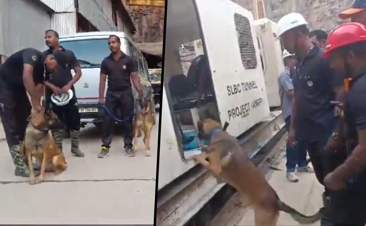 Telangana: Cadaver Dogs Deployed to Trace Trapped Workers at SLBC Tunnel Site