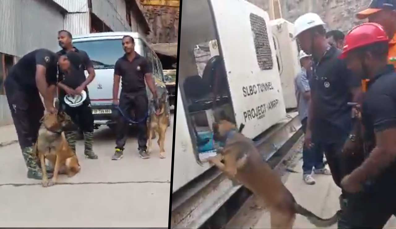 Telangana: Cadaver Dogs Deployed to Trace Trapped Workers at SLBC Tunnel Site
