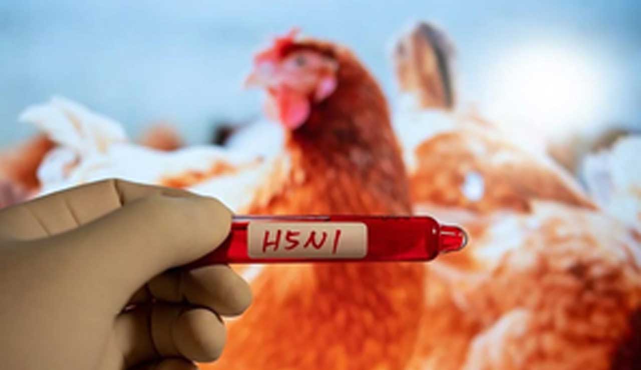 H5N1 Danger: Why Kids and Young Adults Are at Highest Risk!