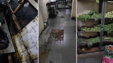 Hyderabad: Filthy Kitchen, No Licenses: Popular Gachibowli Hotel Under Fire After Surprise Raid by Task Force
