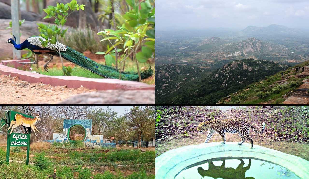 Escape the Heat! 7 Underrated Hill Stations Near Hyderabad to Visit