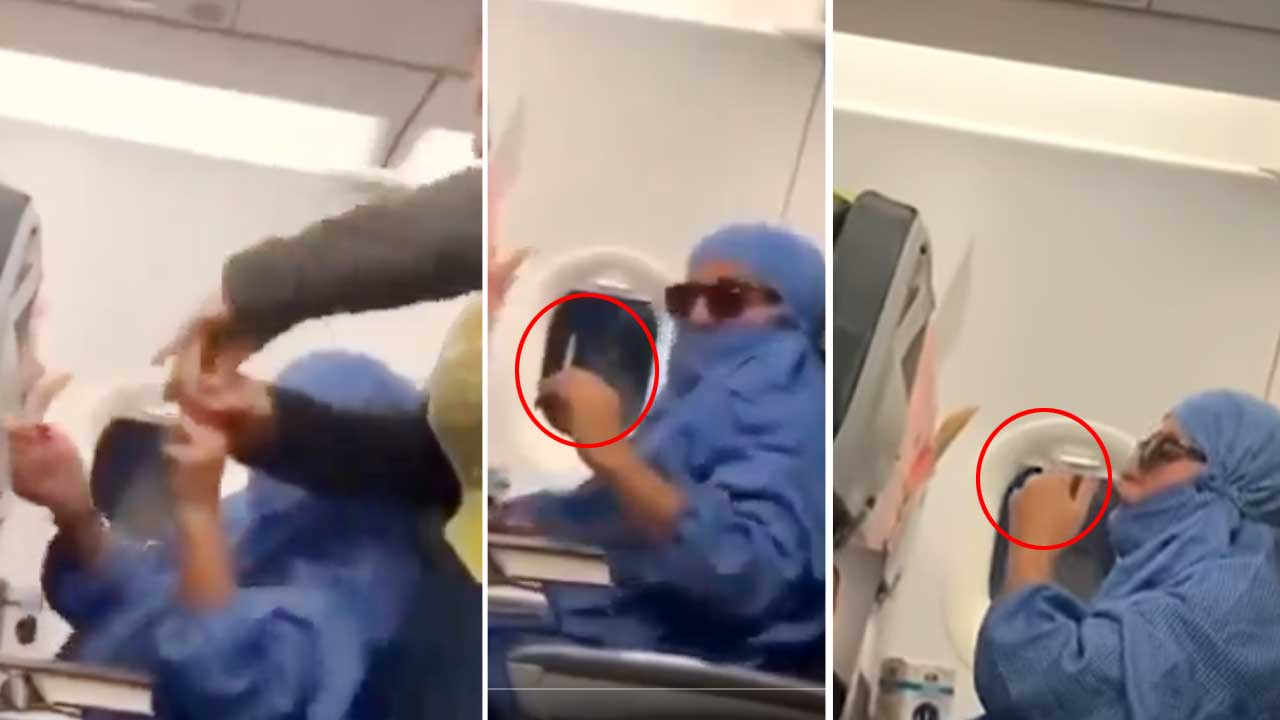 Woman Caught Smoking on Plane, Tries to Set Aircraft on Fire (Viral Video)