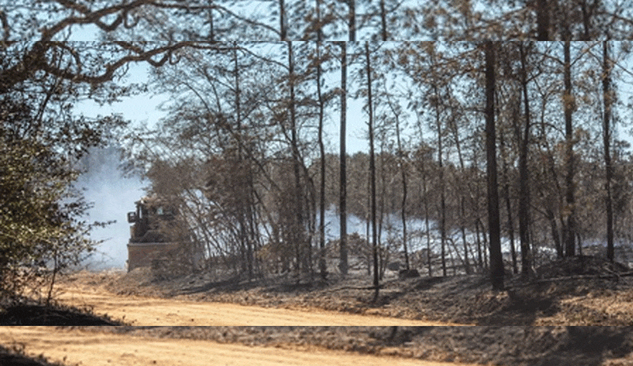US Wildfires in Carolinas Lead to Evacuations and Devastation as Dozens of Homes Burnt