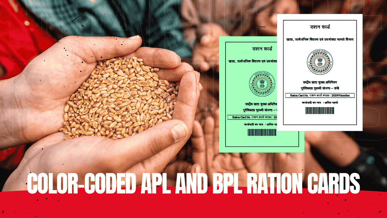 Color-coded APL (green) and BPL (white) ration cards to streamline subsidized essentials distribution in Telangana.