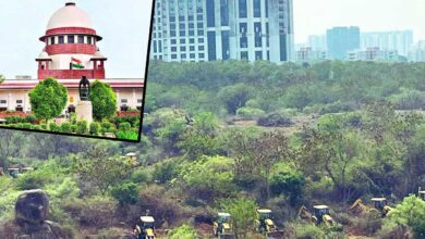 Kancha Gachibowli Mass Tree Felling: Supreme Court Seeks Interim Report from Telangana High Court