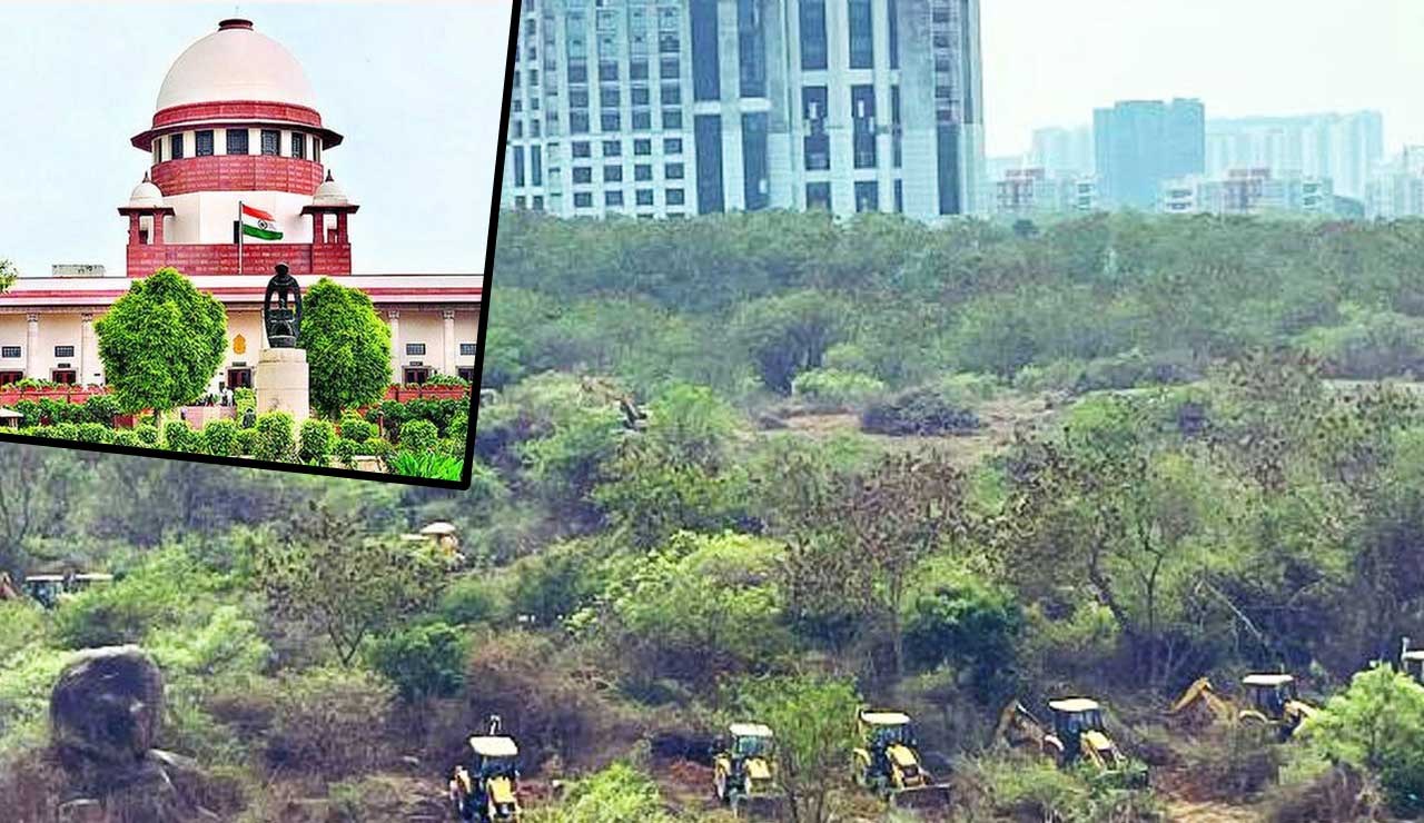 Kancha Gachibowli Mass Tree Felling: Supreme Court Seeks Interim Report from Telangana High Court
