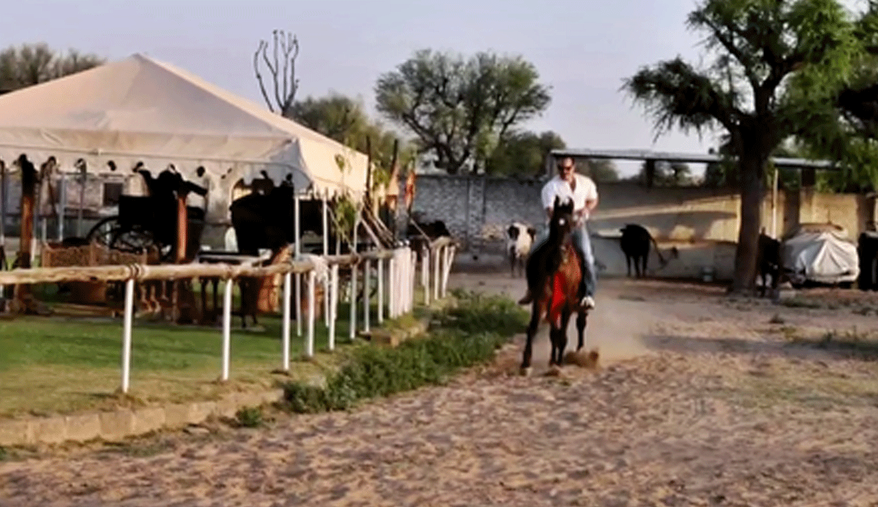 Saif Ali Khan Swings Back into Action with Horse Riding After Injury