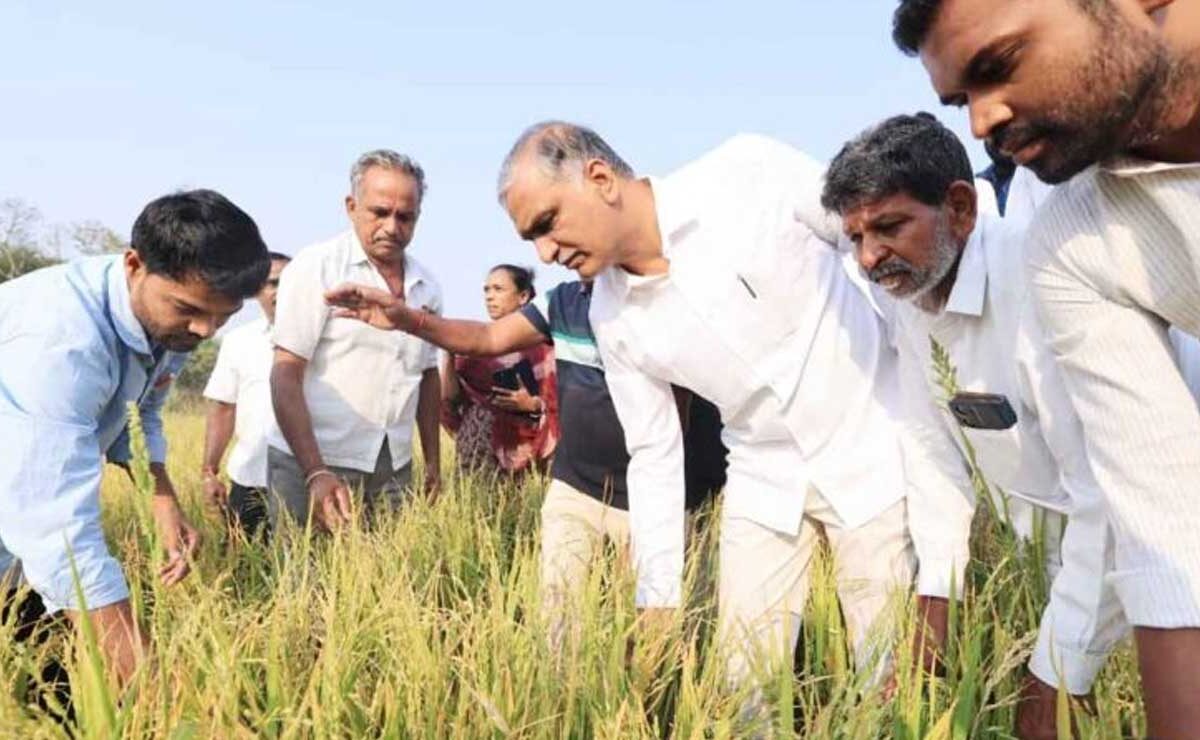 Telangana: Harish Rao Demands Swift Relief for Farmers Hit by Hailstorm