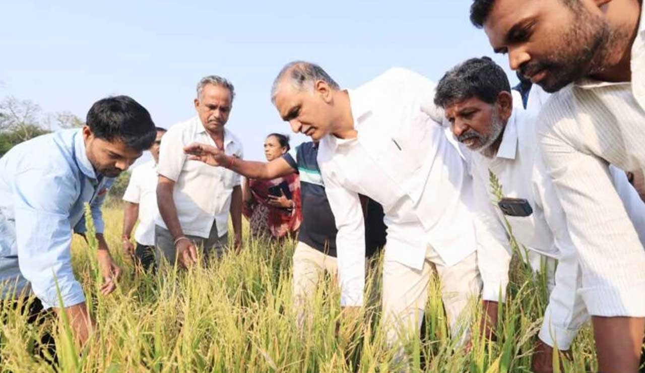 Telangana: Harish Rao Demands Swift Relief for Farmers Hit by Hailstorm