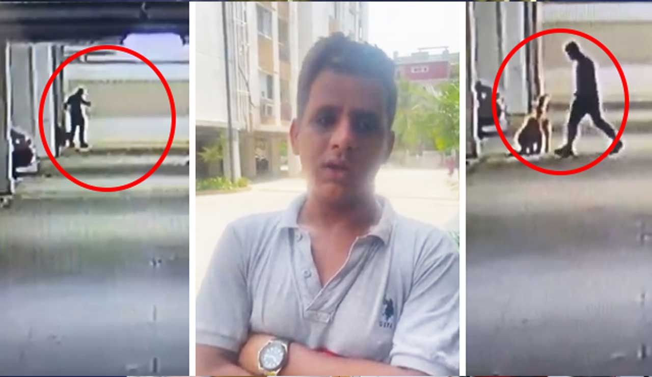 Hyderabad Shocker: Man, Brutally Kills 5 Puppies by Smashing Them Against Wall, CCTV Footage Goes Viral