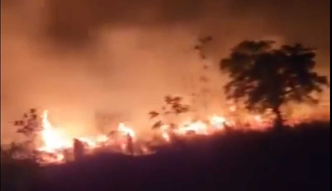 Massive Blaze Engulfs Khammam’s Velugumatla Urban Park, 30 Acres of Plants Destroyed