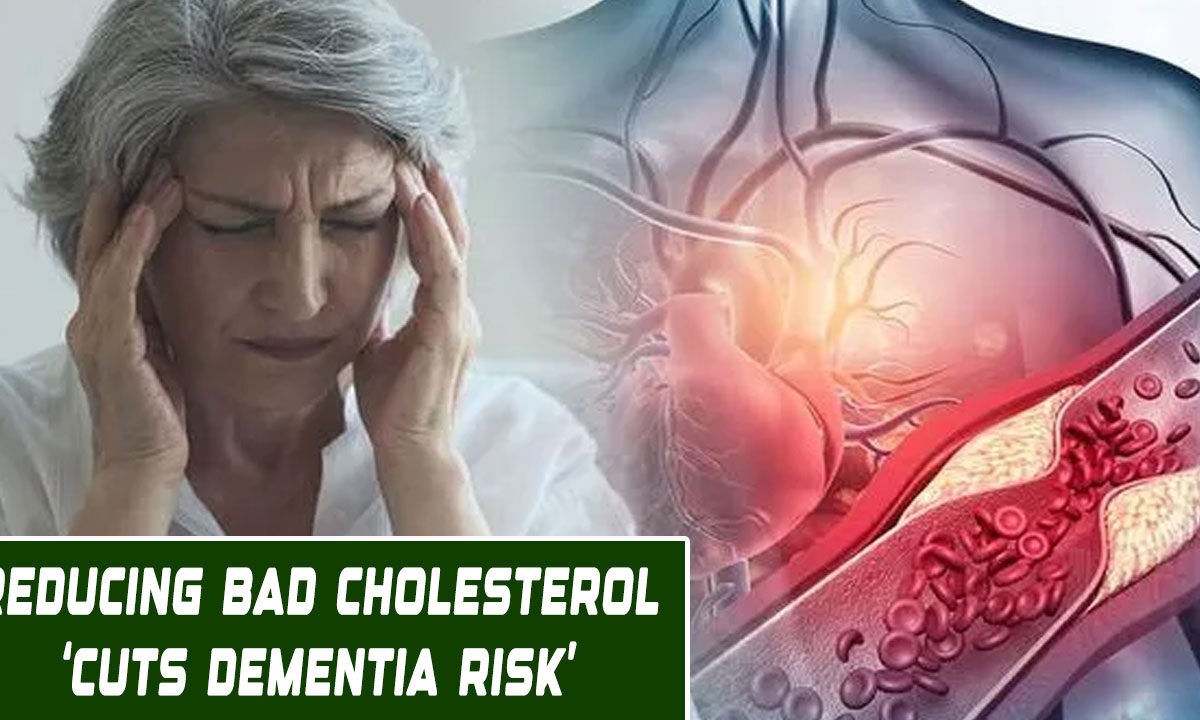 Lower Your Cholesterol, Save Your Memory? New Study Sparks Hope in Dementia Battle