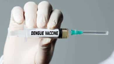 Qdenga, India’s First Dengue Vaccine, set for 2026 Launch: All You Need to Know