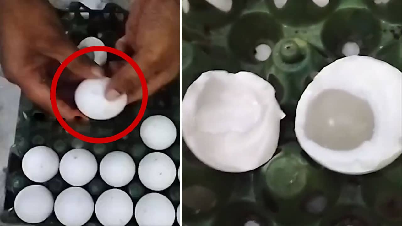 Hyderabad Heat Hits Boiling Point: Egg Cooks Itself in Tray: Video