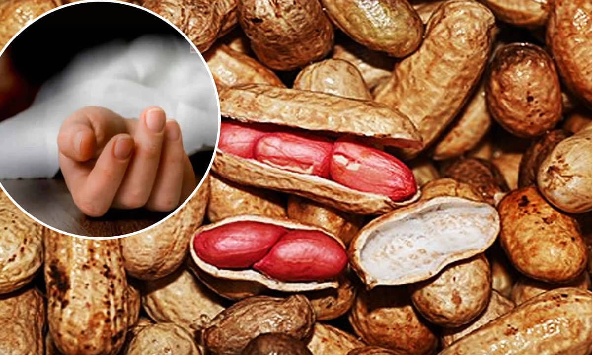 Hyderabad: Four-Year-Old Girl Dies After Choking on Peanuts