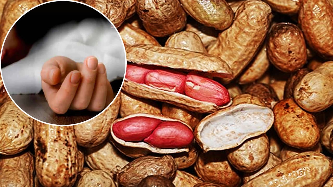 Hyderabad: Four-Year-Old Girl Dies After Choking on Peanuts