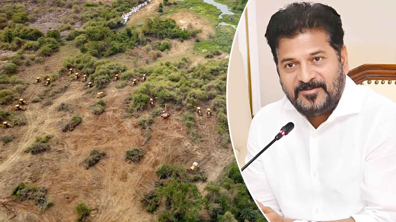 Hyderabad to Get 2,000-Acre World-Class Eco-Park as Government Bows to Environmental and Student Demands