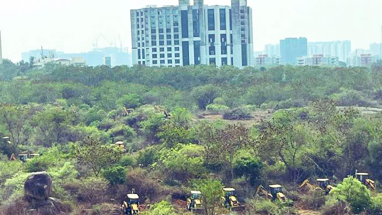 Hyderabad: Opposition Hails SC Stay on 400-Acre Kancha Gachibowli Land Development